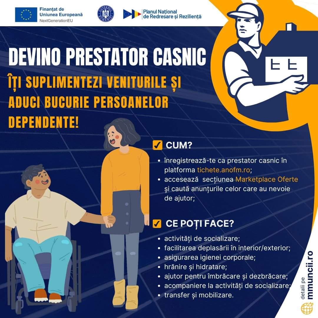Venit suplimentar și beneficii pentru activități casnice. Ce tipuri de activităţi sunt recunoscute