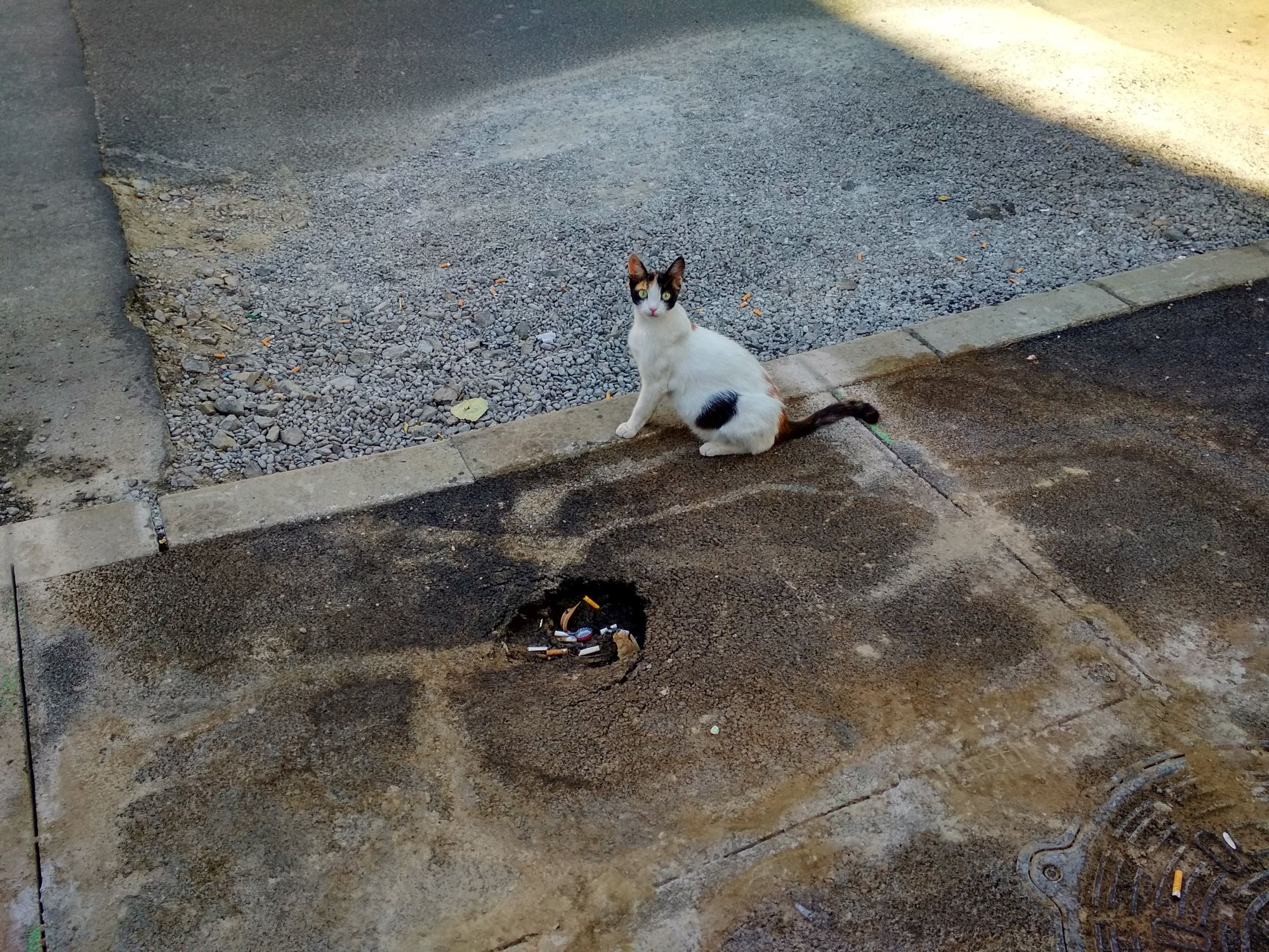 Micro 19: abia asfaltat, dar s-a şi surpat!