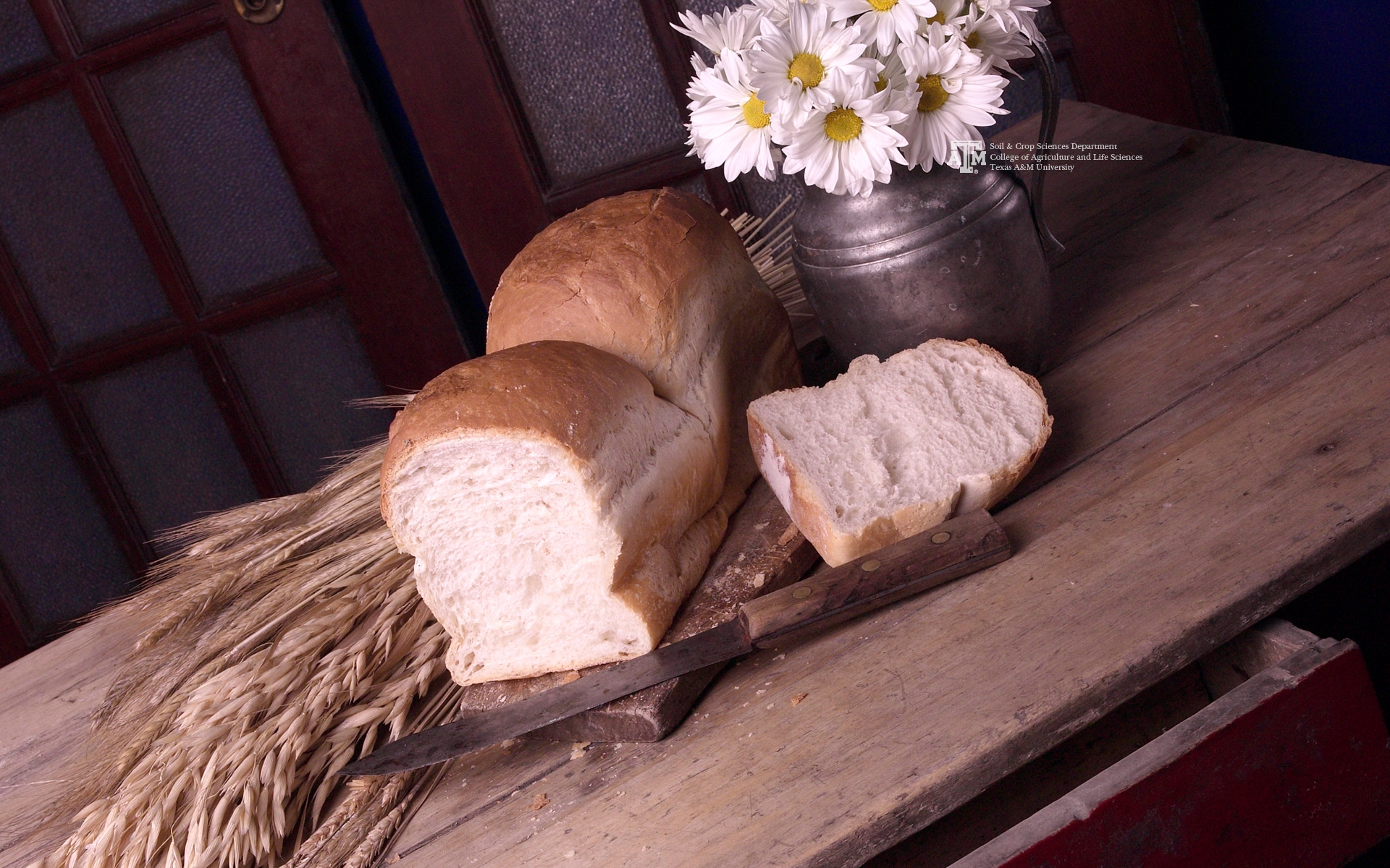 Situaţia judeţului Galaţi la cerealele pentru panificaţie, în „anul păioaselor”