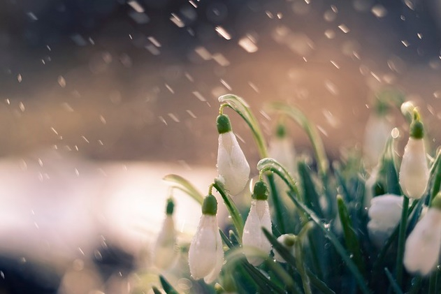 Cum va fi vremea în următoarele două săptămâni