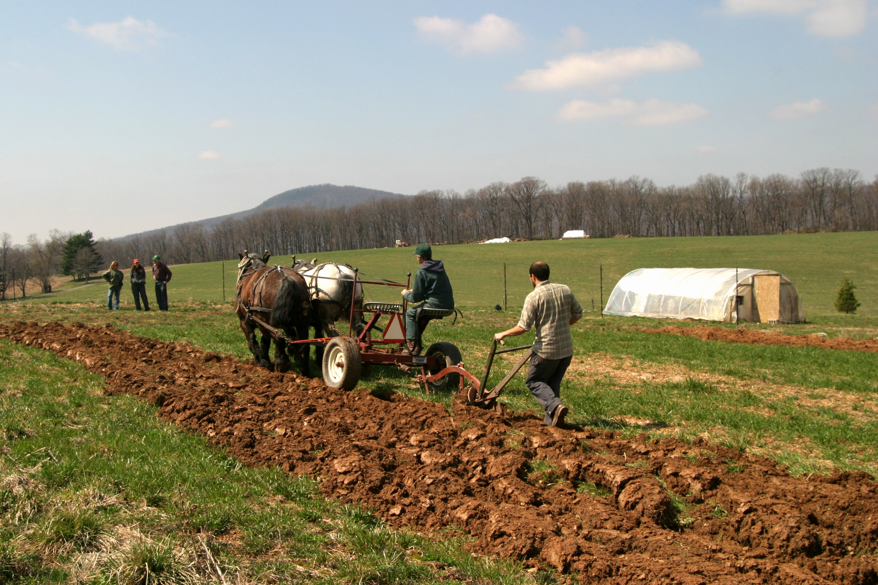 Campanie VL "Din culisele agriculturii": Gălăţenii nu vor să-şi vândă glia străinilor 
