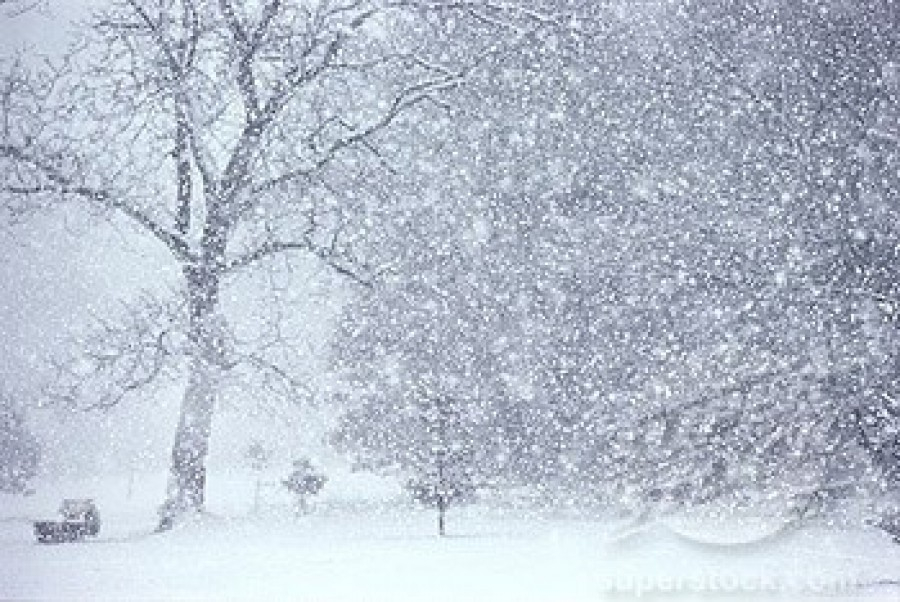 Meteo. Ninsoare pe tot parcursul zilei