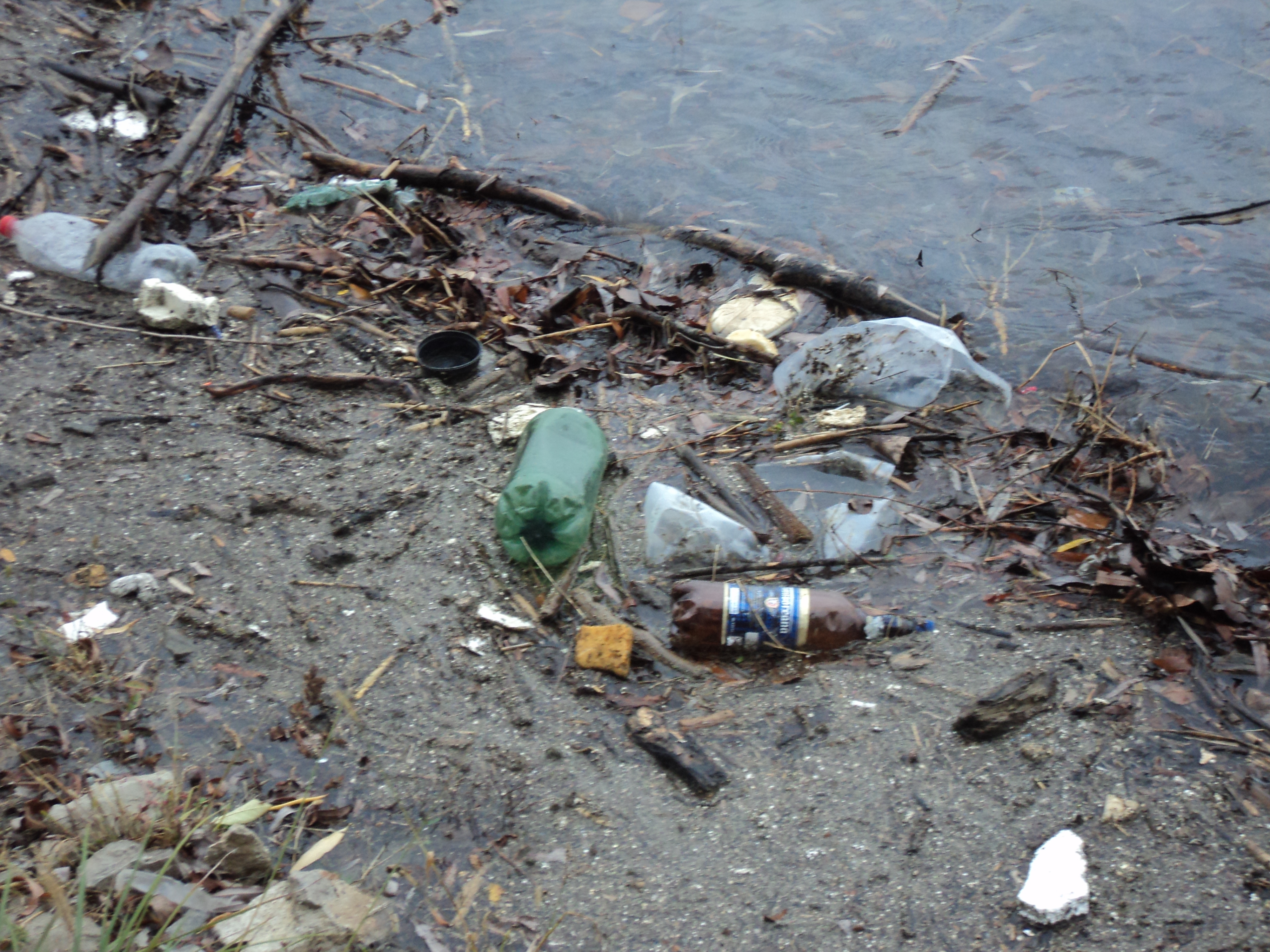 Mizerie strânsă prin compromis: PET-uri şi crengi pe Dunăre