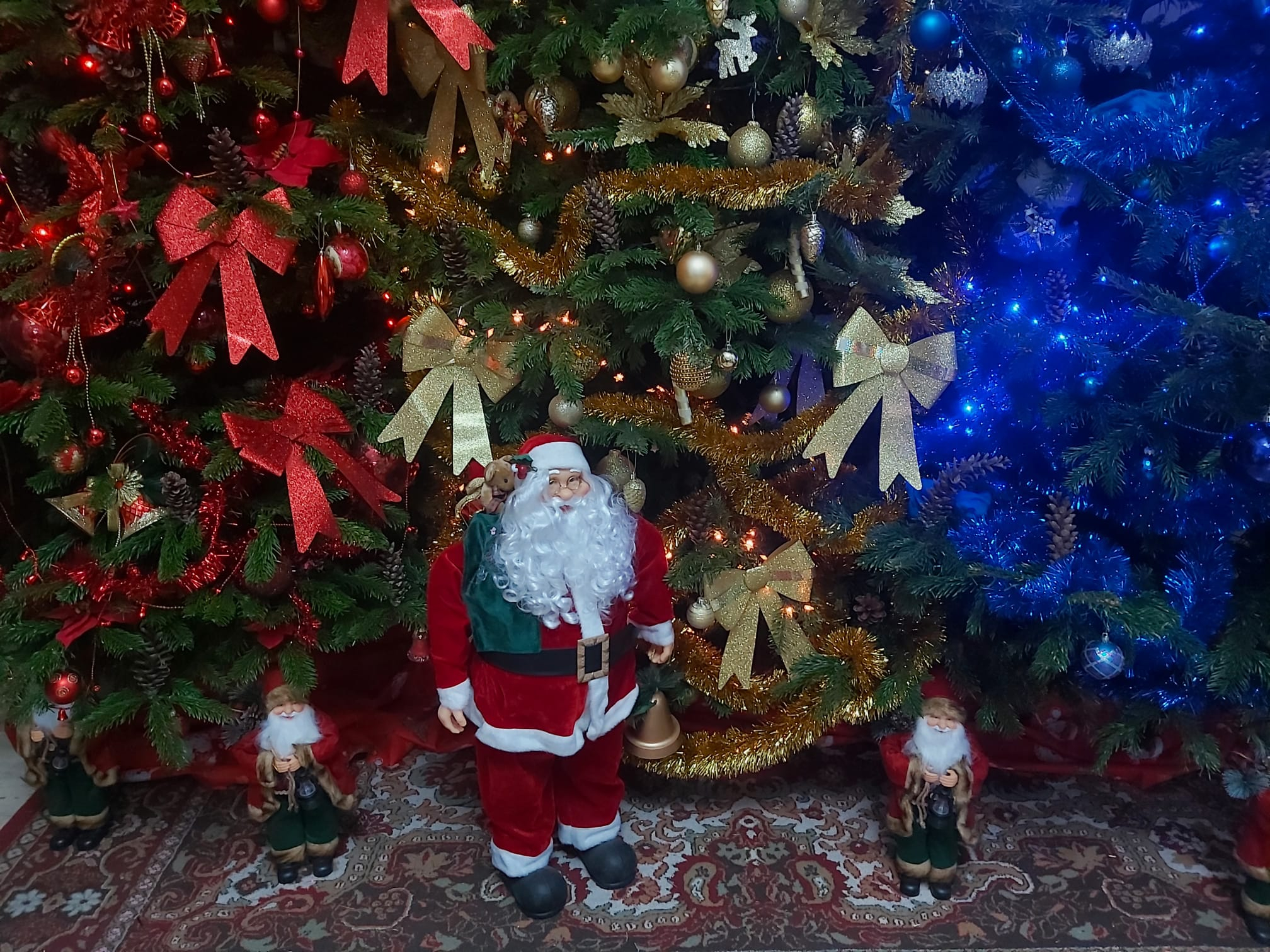 „Viaţa liberă” îi aşteaptă pe copiii din Galaţi la colindat