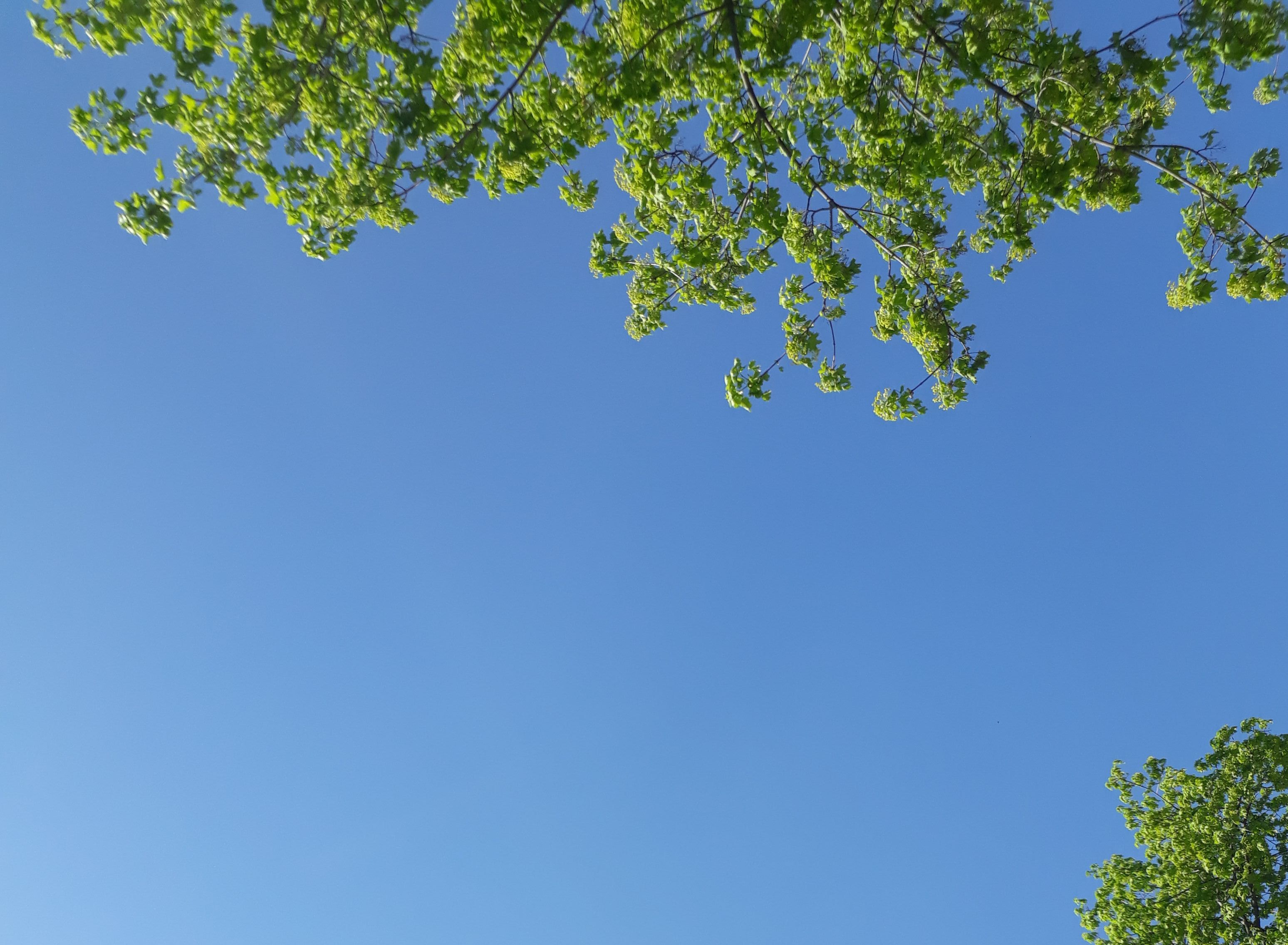 PROGNOZA METEO | Cum va fi vremea, luni, la Galați