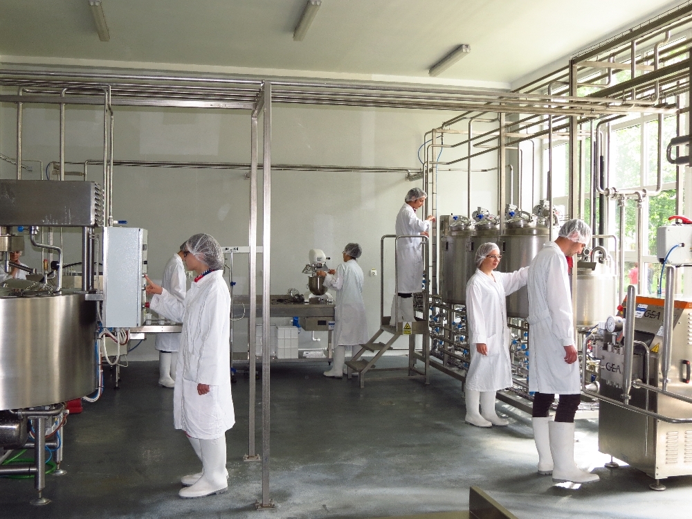 Iaurt cu hrişcă, şrot de cătină, făină de struguri sau afine. Din laboratoarele Facultăţii gălăţene de Ştiinţa şi Ingineria Alimentelor