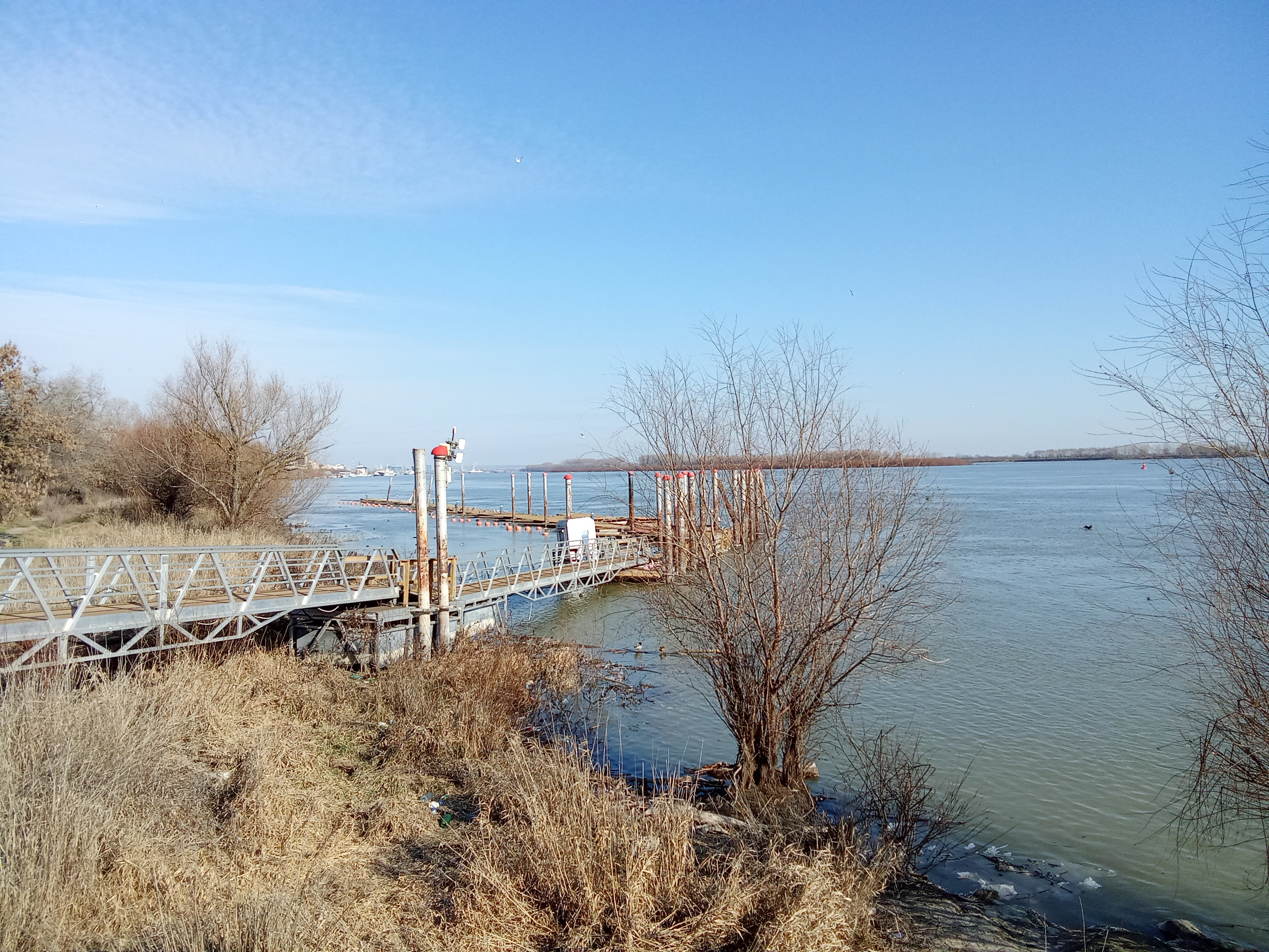 Poza zilei. Licitaţiile au eşuat, epava (încă) rezistă