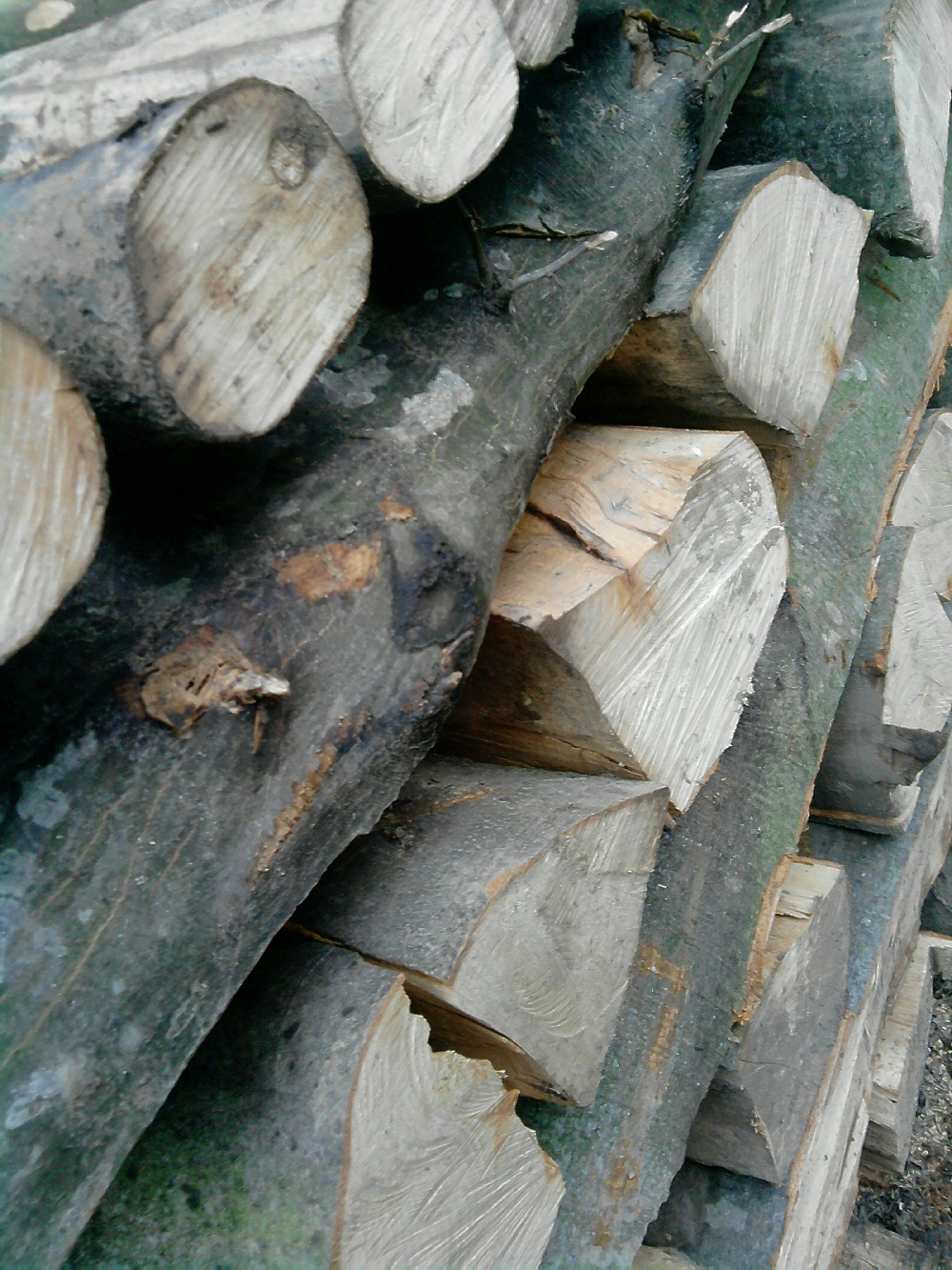 AJUTOARE DE URGENŢĂ/ Unde şi când se depun cererile pentru LEMNE de foc