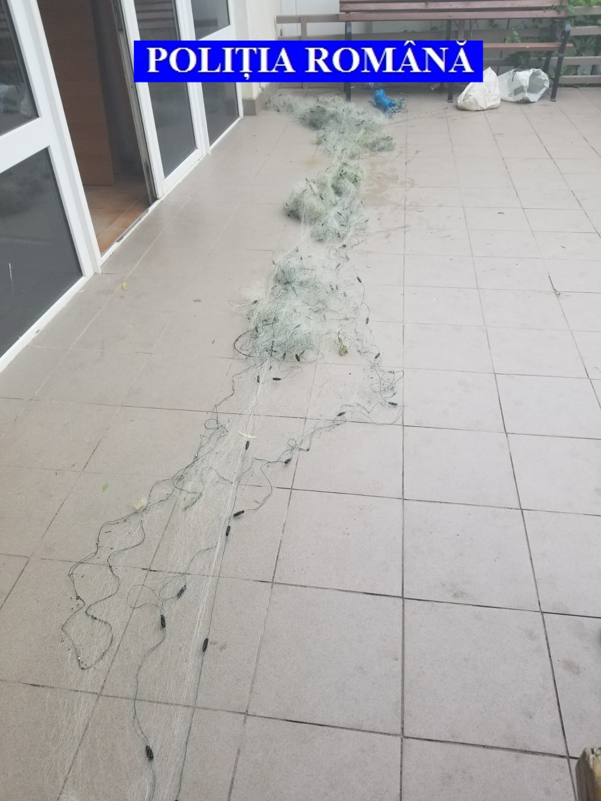 Prinși la pescuit cu unelte interzise