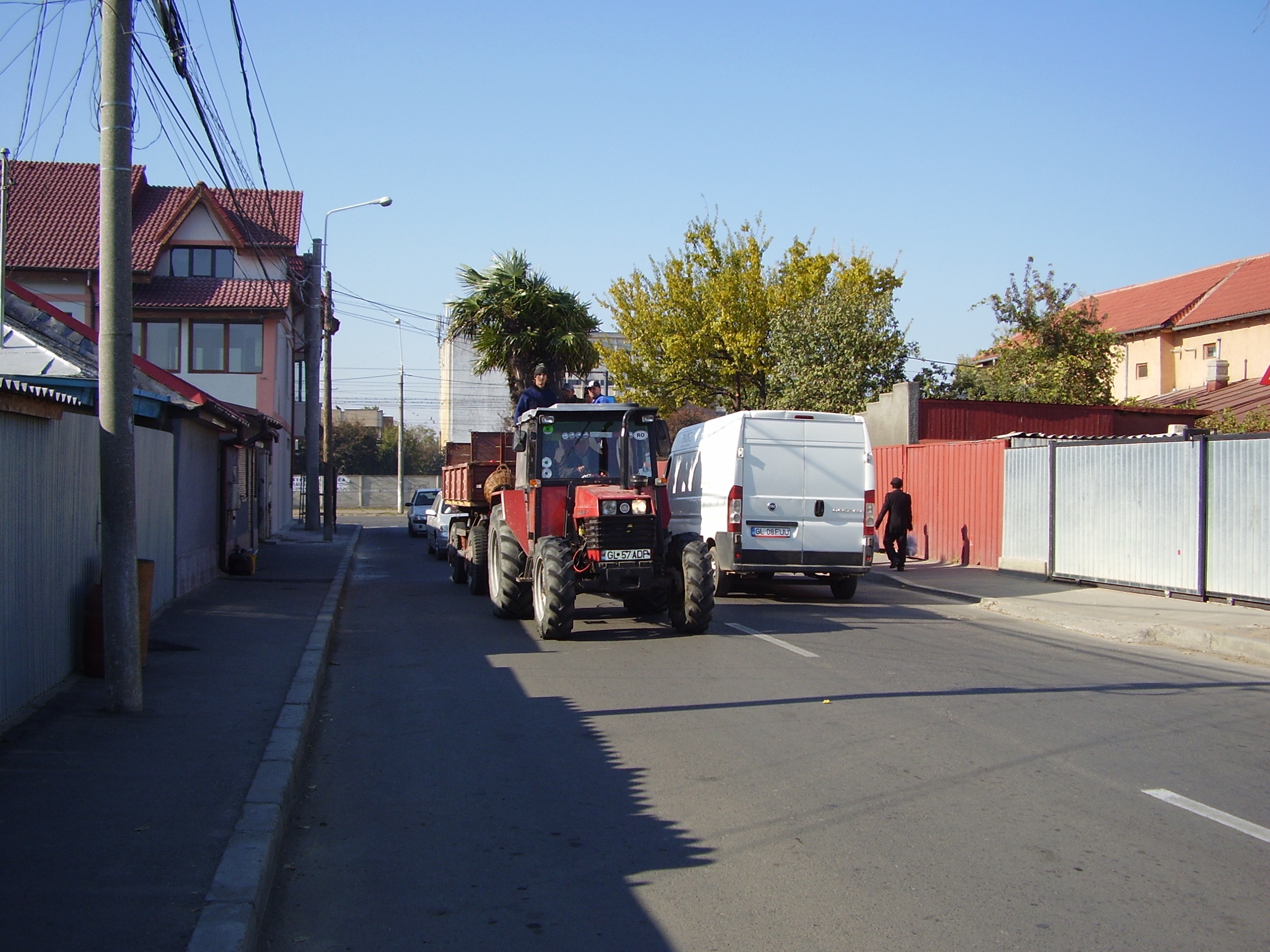 Palmierii - la adăpost, gălăţenii - în frig!