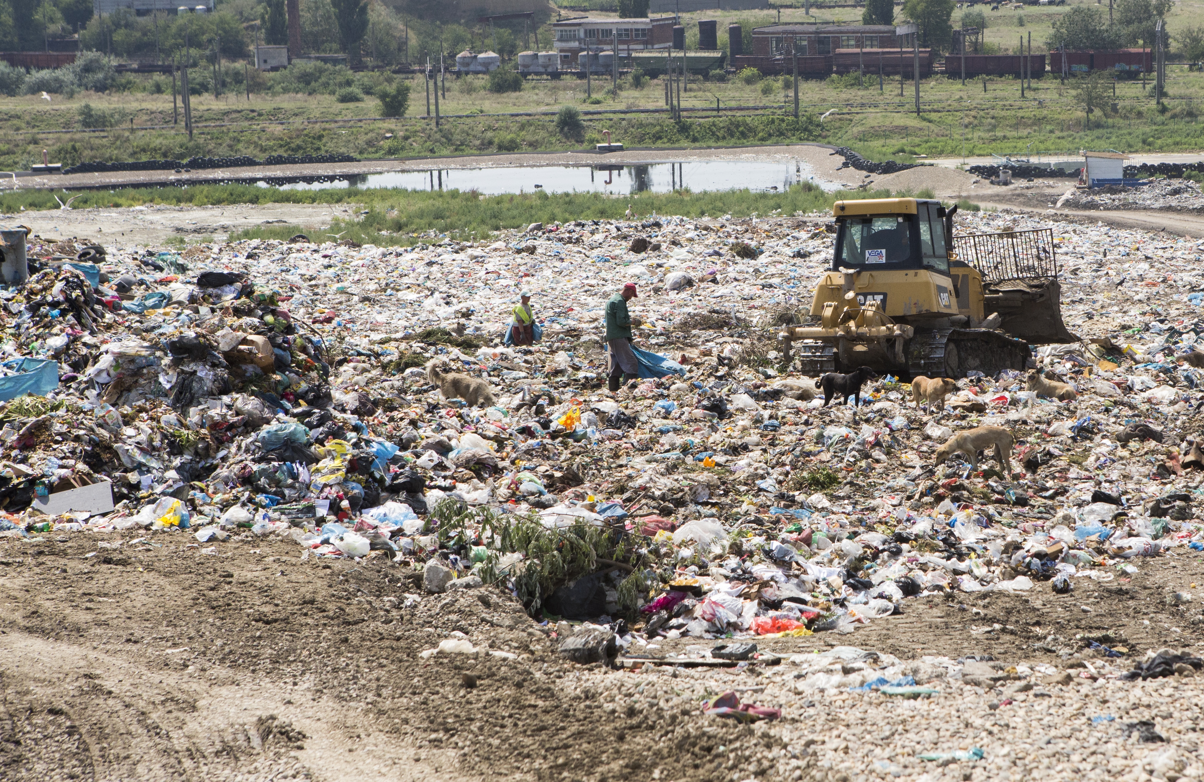 COLECTAREA SELECTIVĂ, un EŞEC urât mirositor. Unde s-au dus BANII