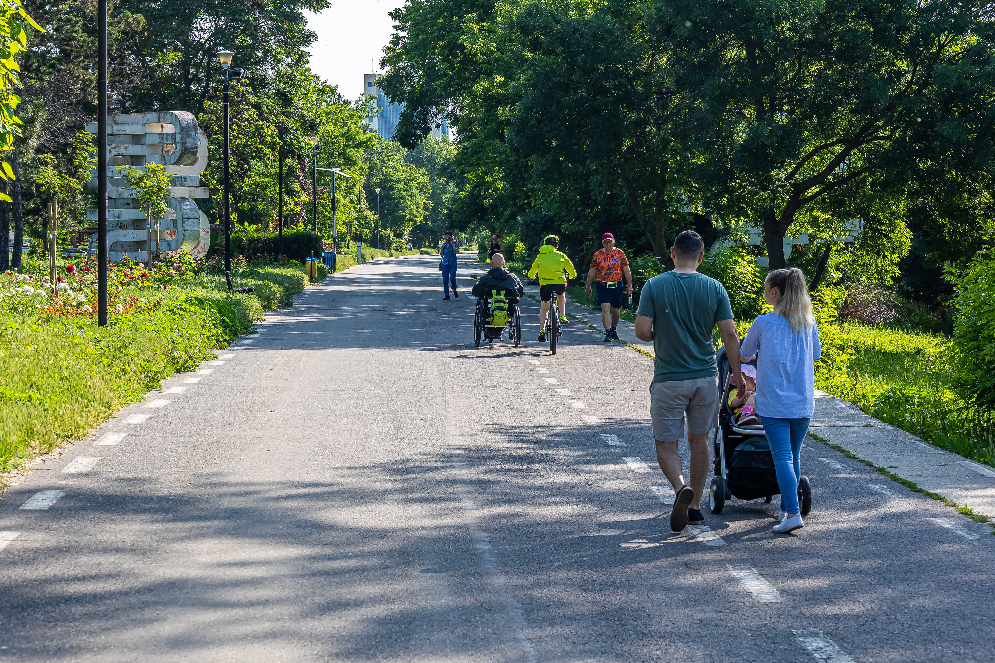 Modernizarea Falezei, scoasă la licitație. Contract de 32,8 milioane de euro