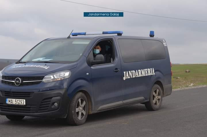 UPDATE: După trei ore, jandarmii au pus punct căutării ursului de la Schela. Ce au găsit (VIDEO)