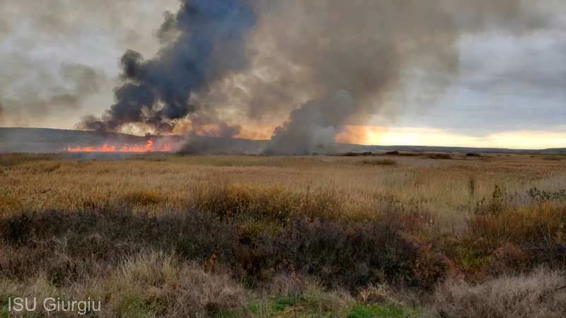 Incendiu de proporții în Delta Neajlovului