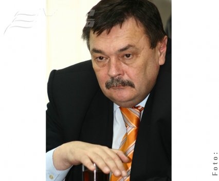 Dezbateri pe statut, la PNL