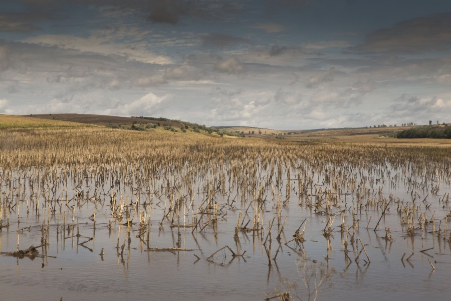 În lipsa fondurilor: Chineja, un pericol permanent pentru Brateş