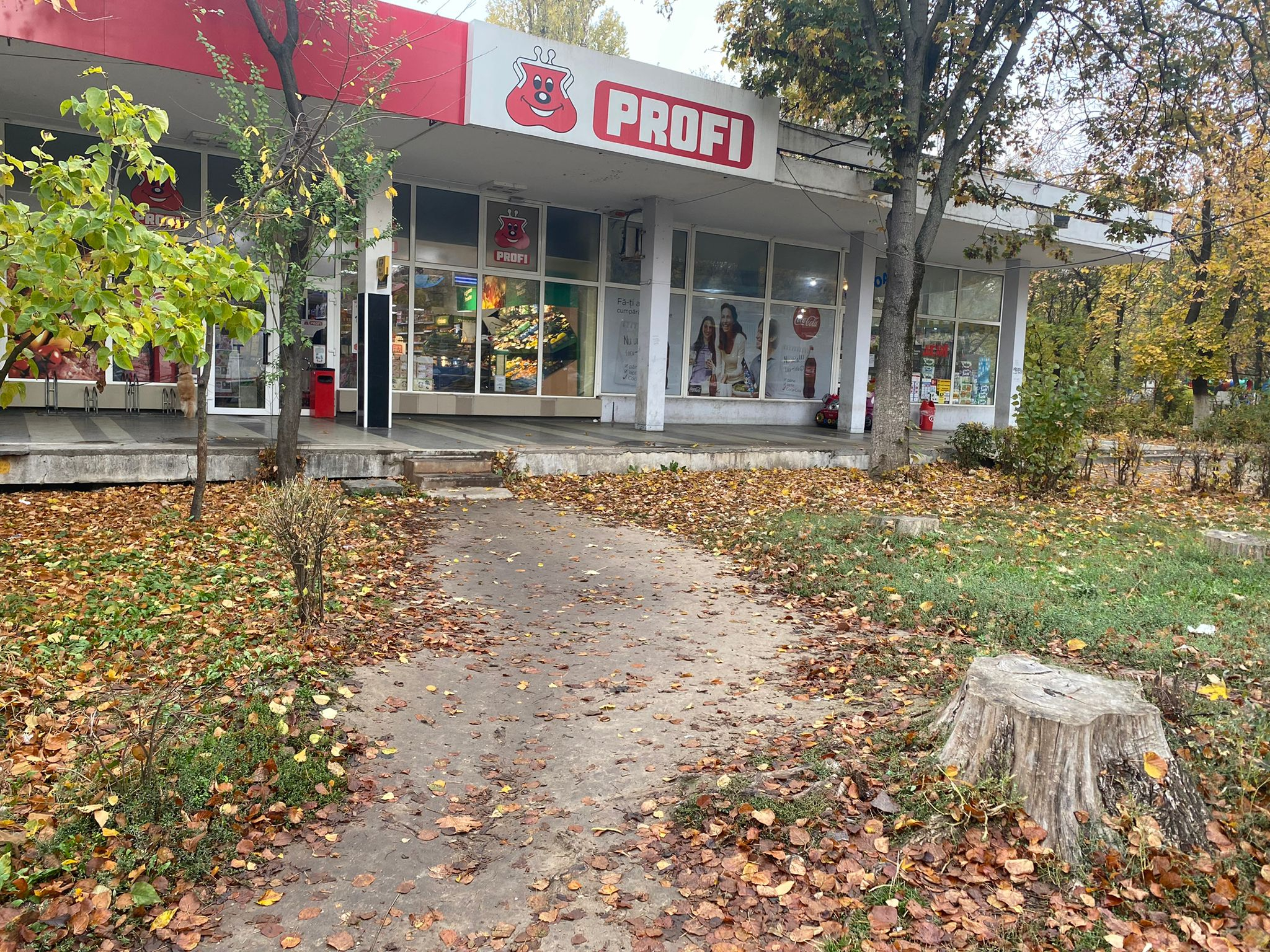 Galațiul "nu aprobă asfalt pe spațiul verde"