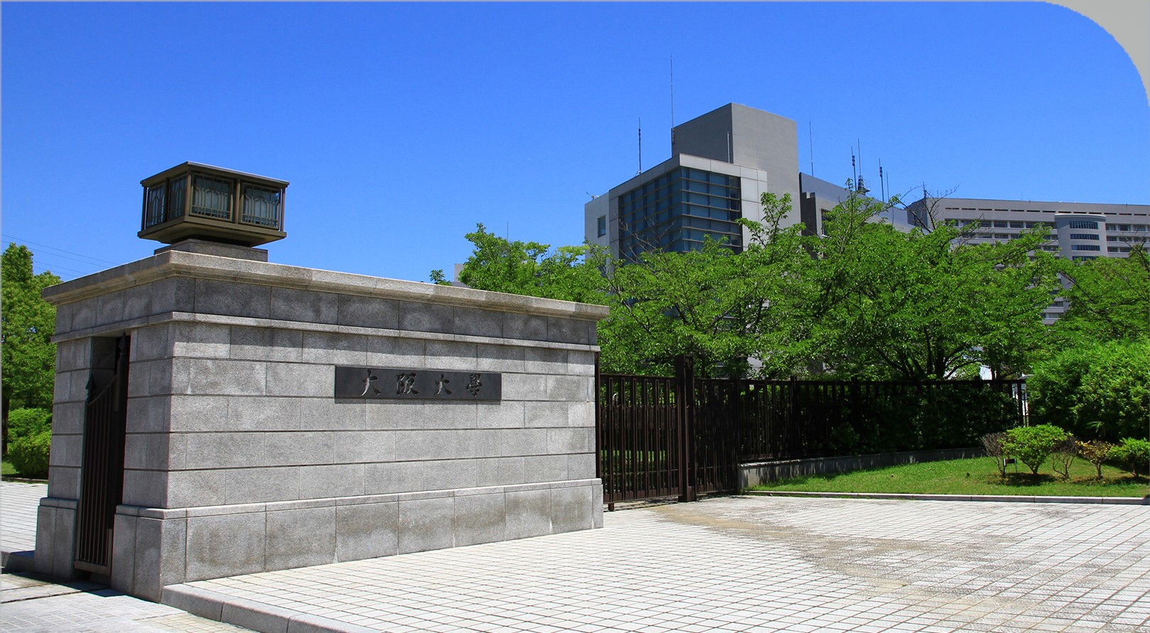 Universitățile fac oferte pentru studenții goniți de Trump