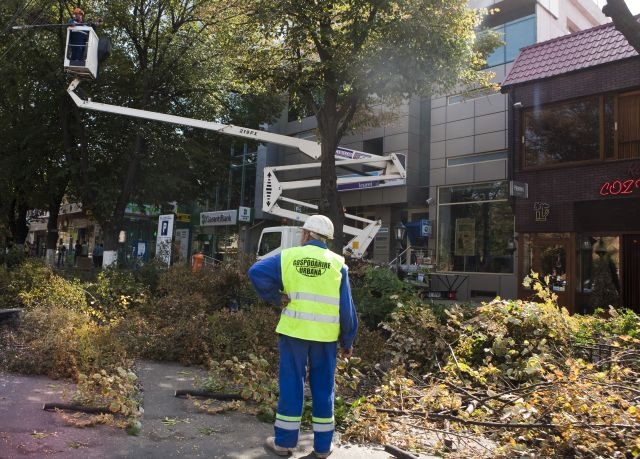 Societatea de Gospodărire Urbană şi-a mărit organigrama: Doi cu mapa, 13 cu sapa
