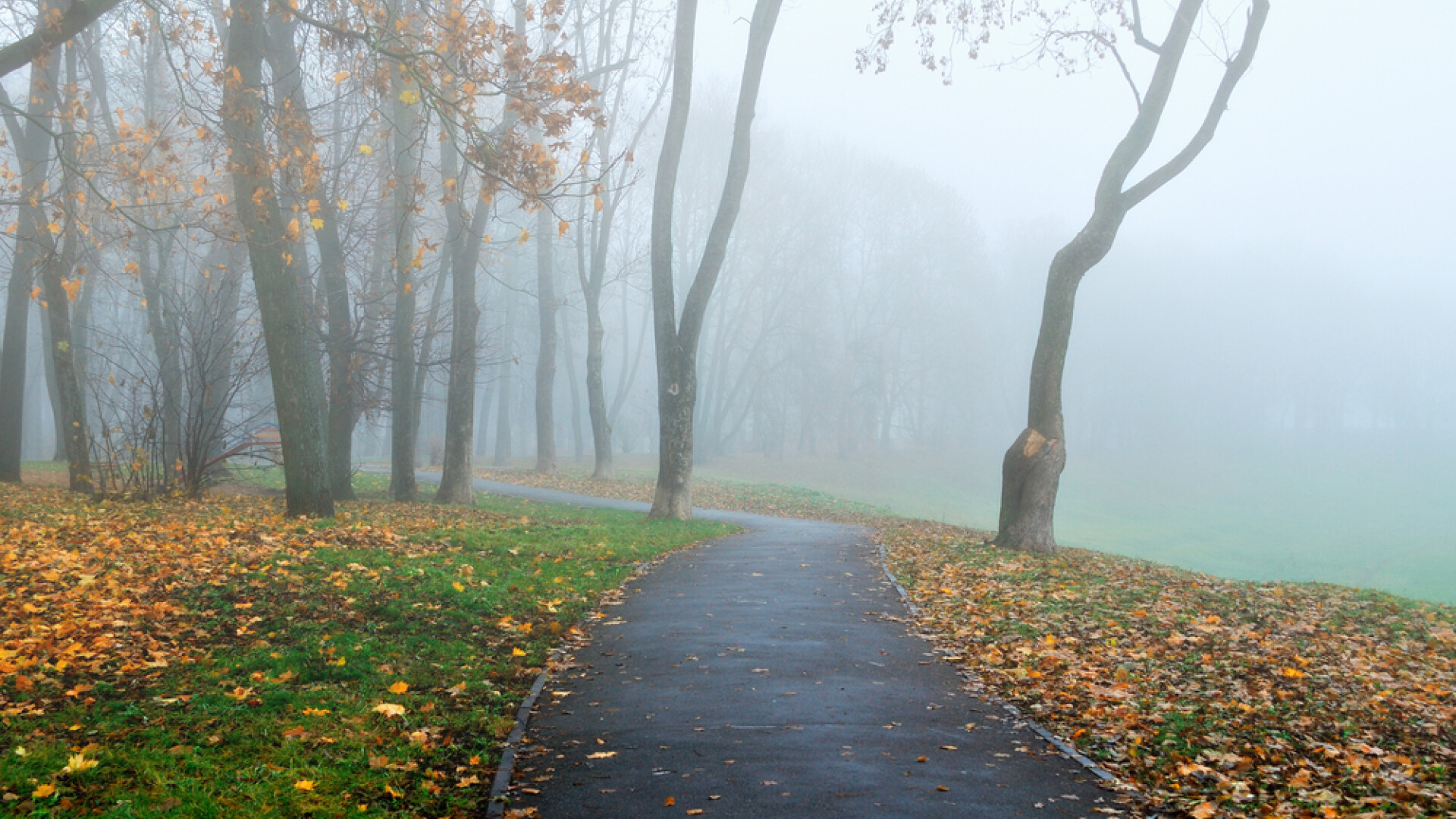 Vreme rece şi ploi toată săptămâna