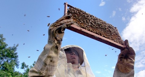 Cursuri de calificare: Zeci de gălăţeni învaţă agricultură