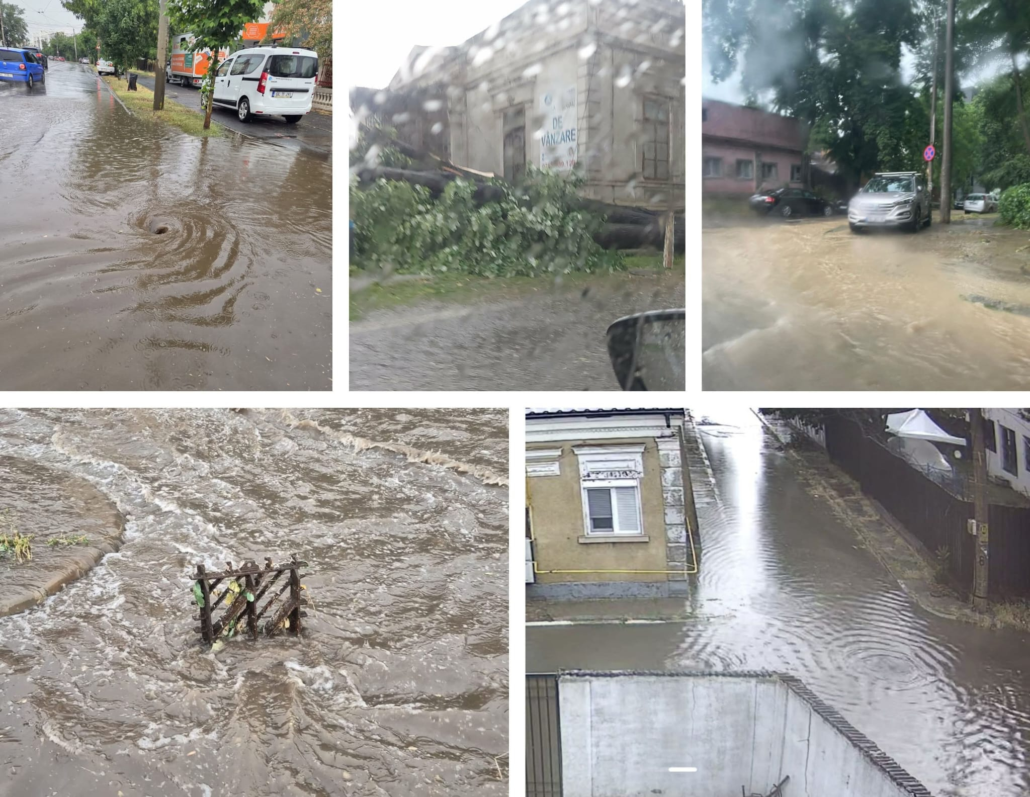UPDATE. Galațiul, sub „asediul” vijeliei. Arbori căzuţi şi străzi inundate