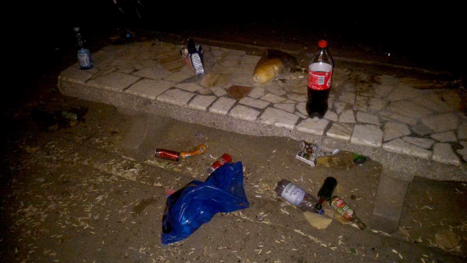 Pentru murdărirea domeniului public, AMENZI de peste 50.000 de lei în doar două zile