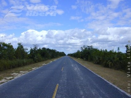 Explozie pe Drumul Naţional 24 D