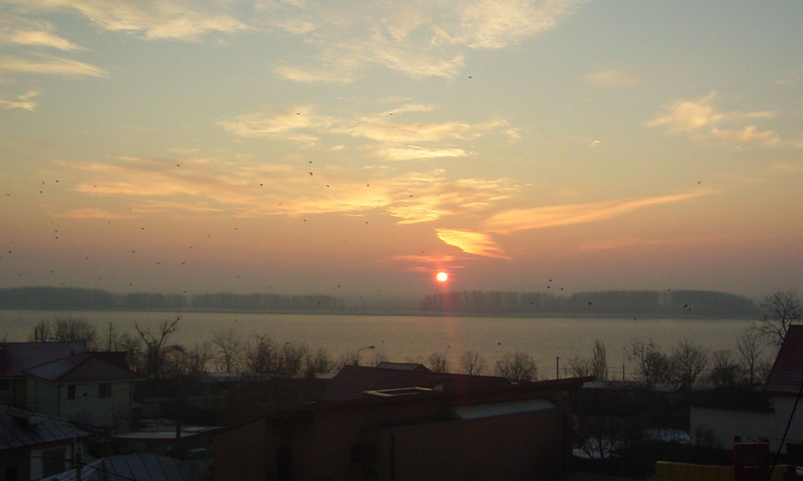 Istoria la Dunăre curge... online [Proiect]