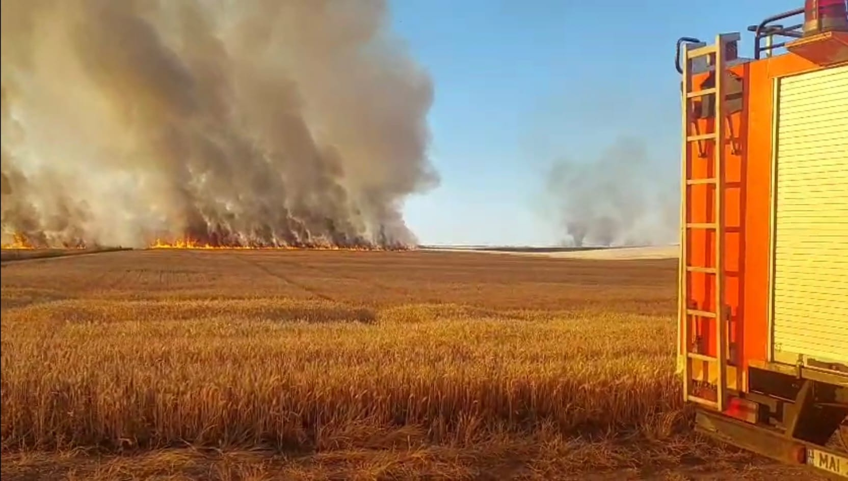 UPDATE. Incendiul care ameninţa Pădurea Gârboavele nu a fost întâmplător (VIDEO)