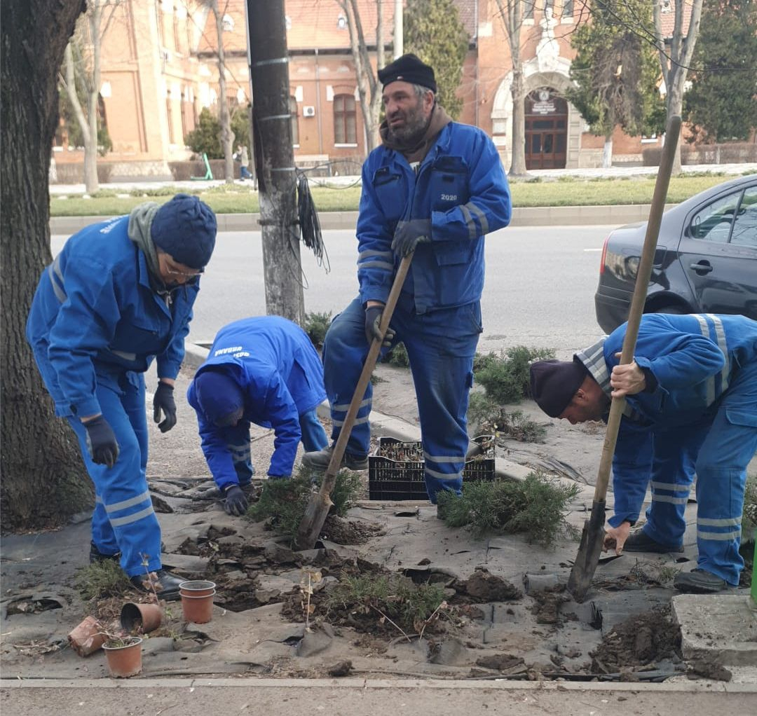Spațiile verzi ale Galaţiului nu vor mai fi îngrijite de bengalezi
