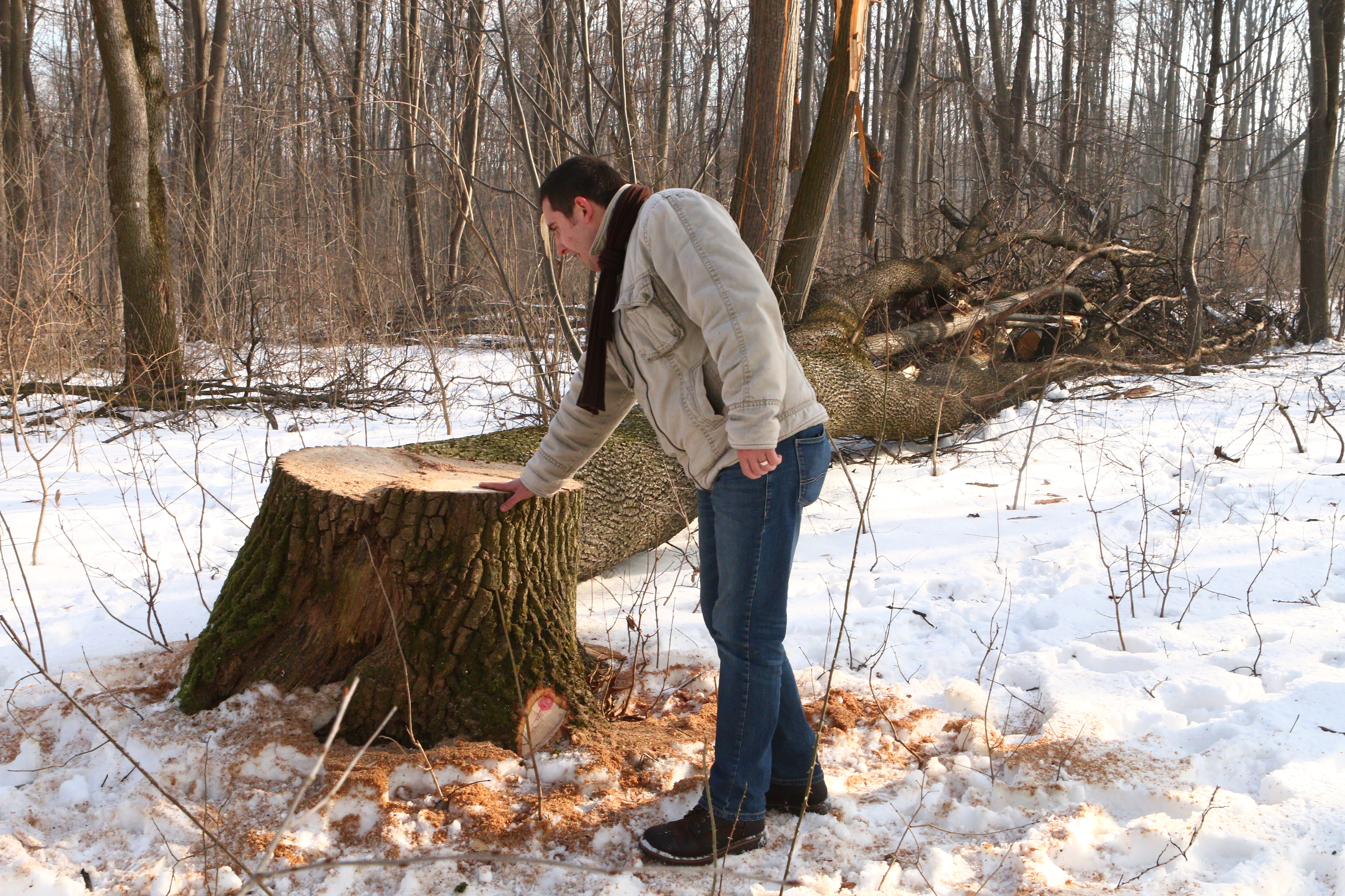 JAF ca-n codru în PĂDUREA Buciumeni (FOTO)