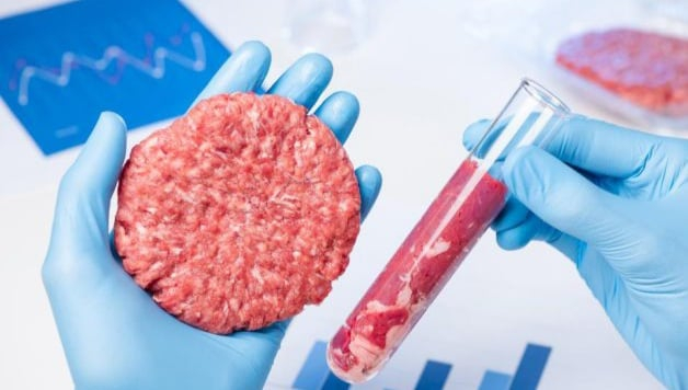 Carnea sintetică creată de Japonezi