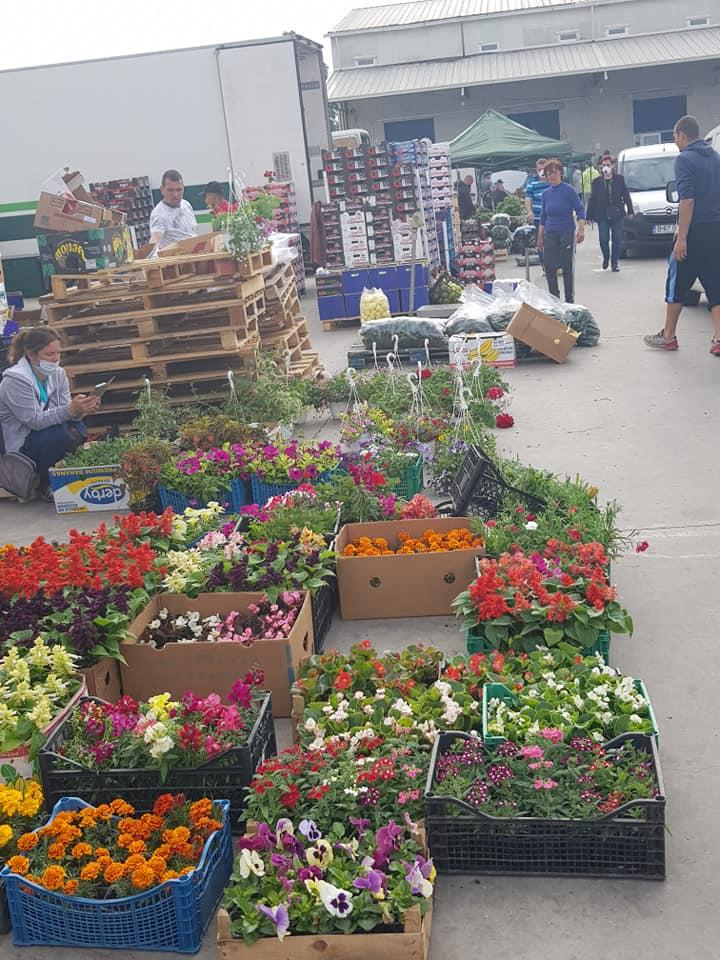 Piaţa moldovenilor, fără moldoveni