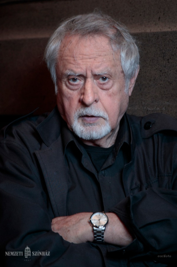 Remember. Laszlo Szekely, arhitectul Timișoarei moderne