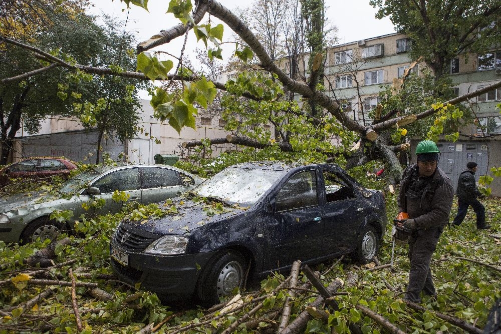 Copaci DOBORÂŢI de vânt la Galaţi. Un plop uriaş a făcut PRAF TREI MAŞINI (GALERIE FOTO)