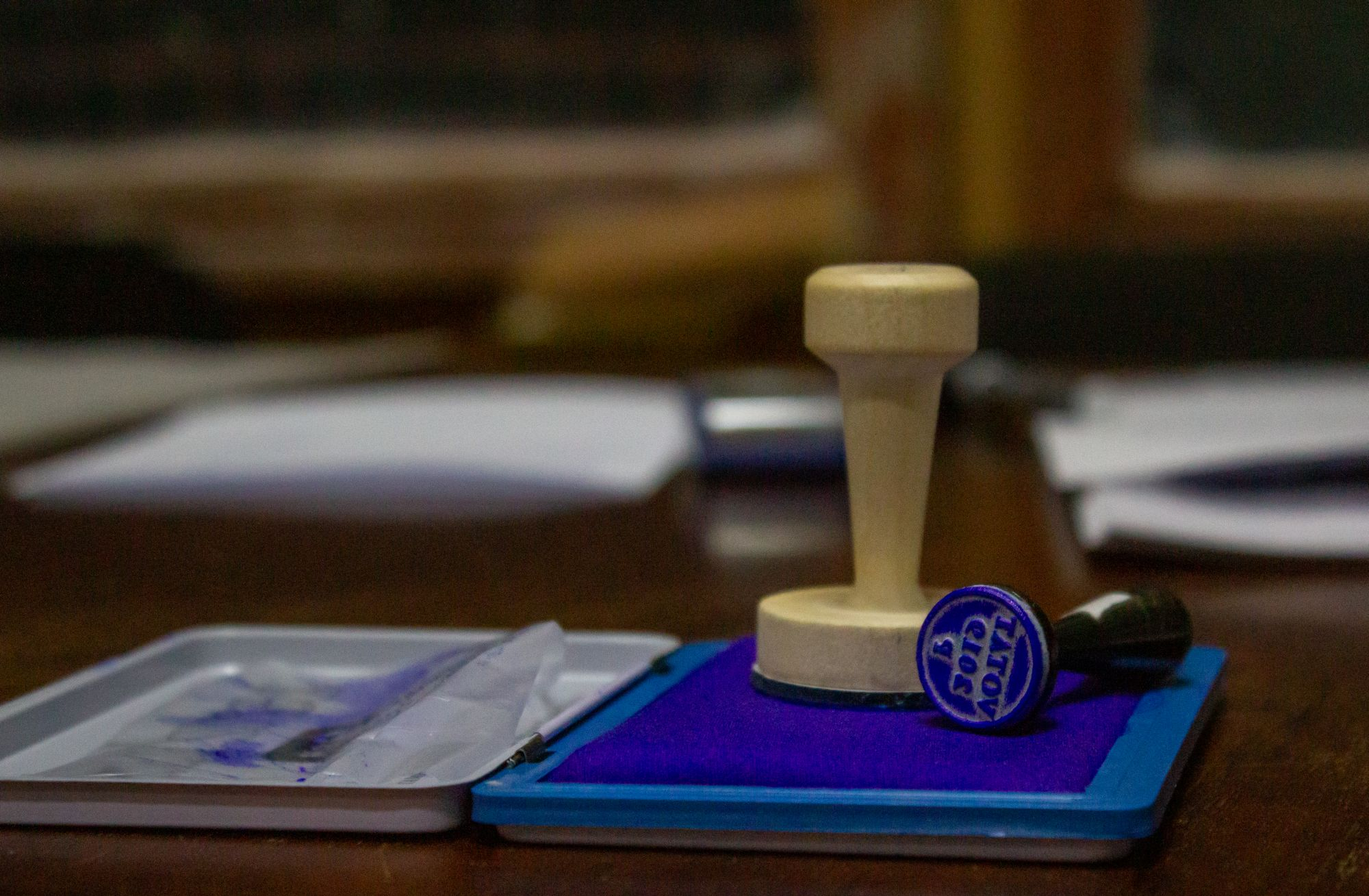 Pe cine au votat românii din Diaspora | Rezultate pe ţări