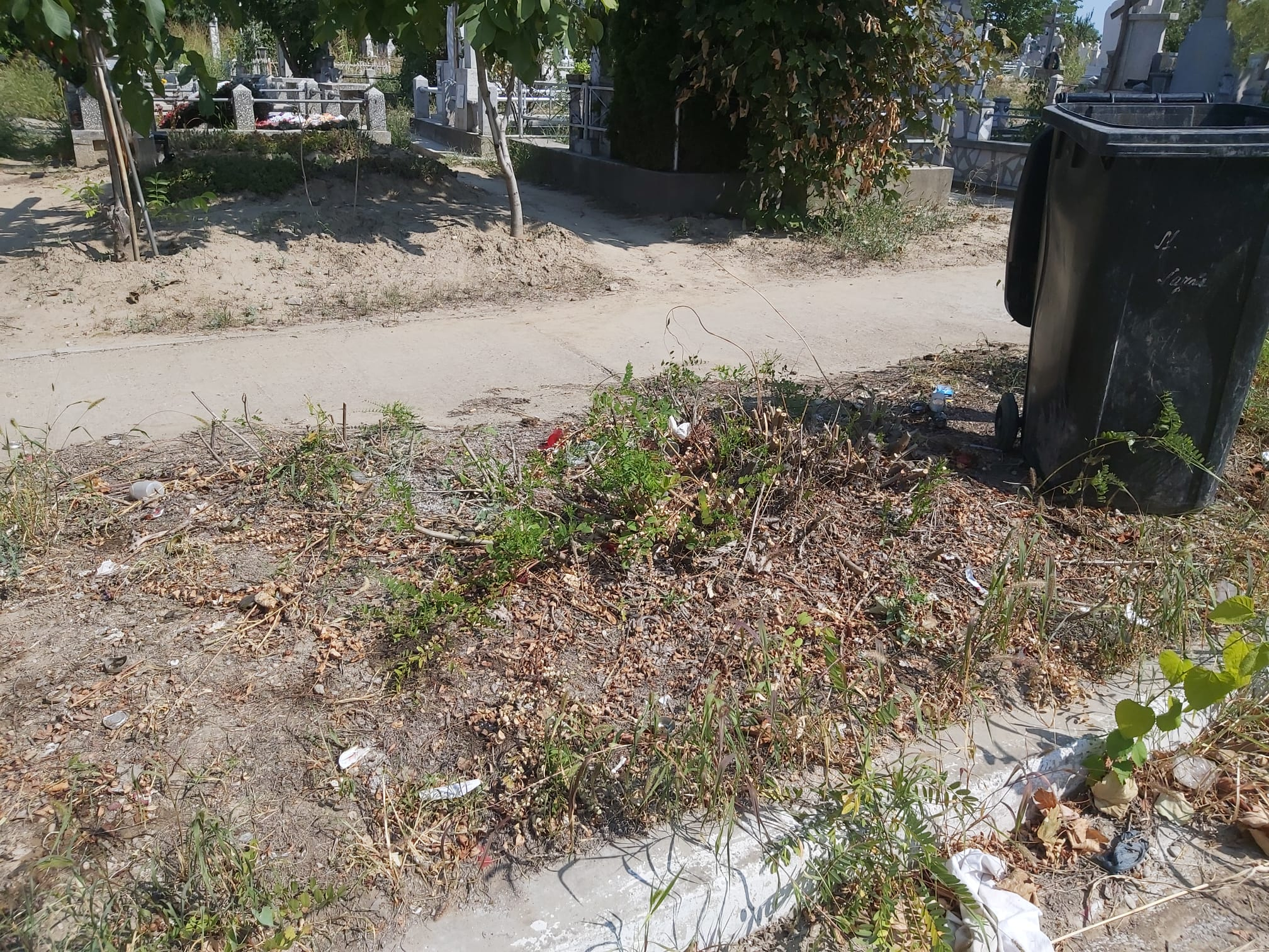 Cimitirul „Sf. Lazăr”, între curăţenia aproximativă şi gropile din asfalt (FOTO)