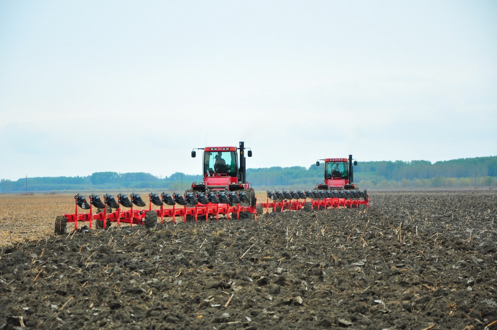 Fermierii cu suprafeţe mici pierd bani dacă nu se asociază 