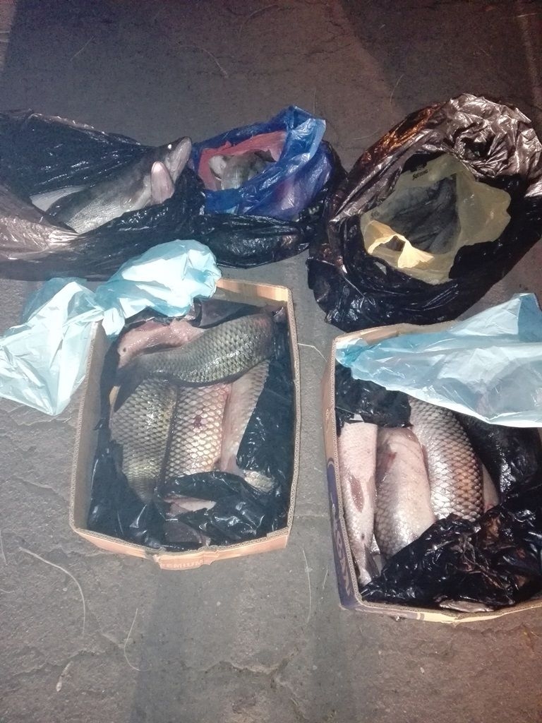 Peşte ASCUNS în roata de rezervă