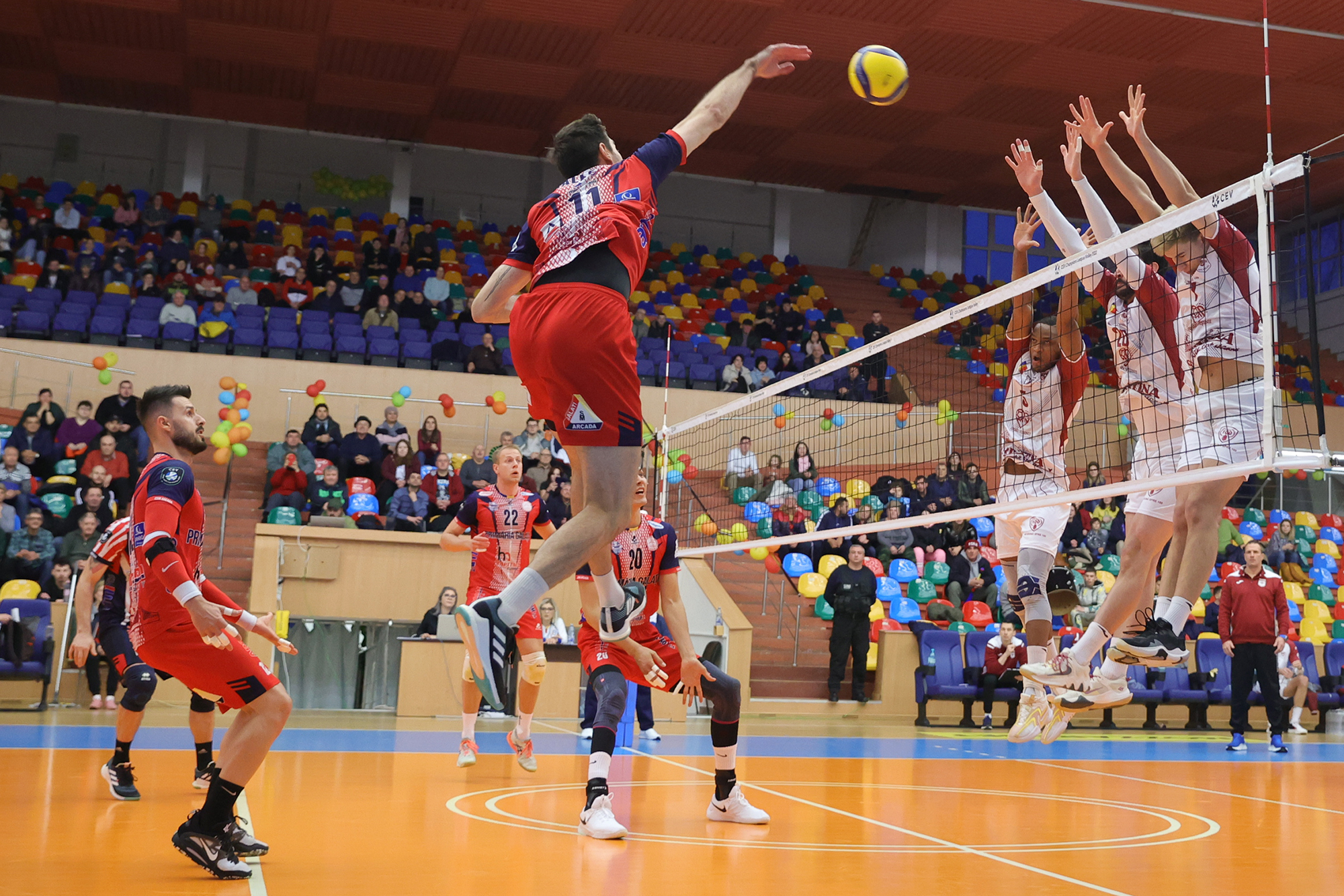 VOLEI. Galațiul se pregătește de o nouă medalie de aur cu CSM Arcada