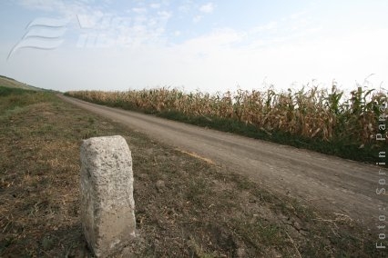 Porumb în calea apelor