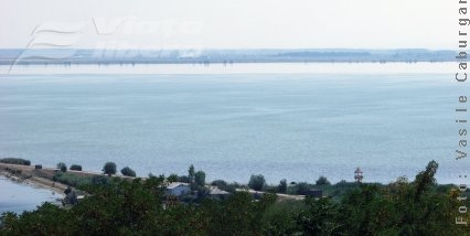 Şase braconieri de peşte – dintr-o razie  