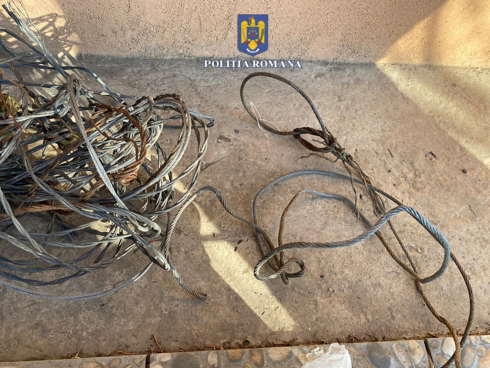 Capcane și substanțe extrem de toxice, găsite în casa unui braconier