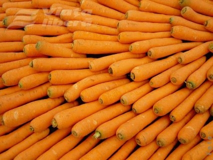 Traficanţii de aur portocaliu