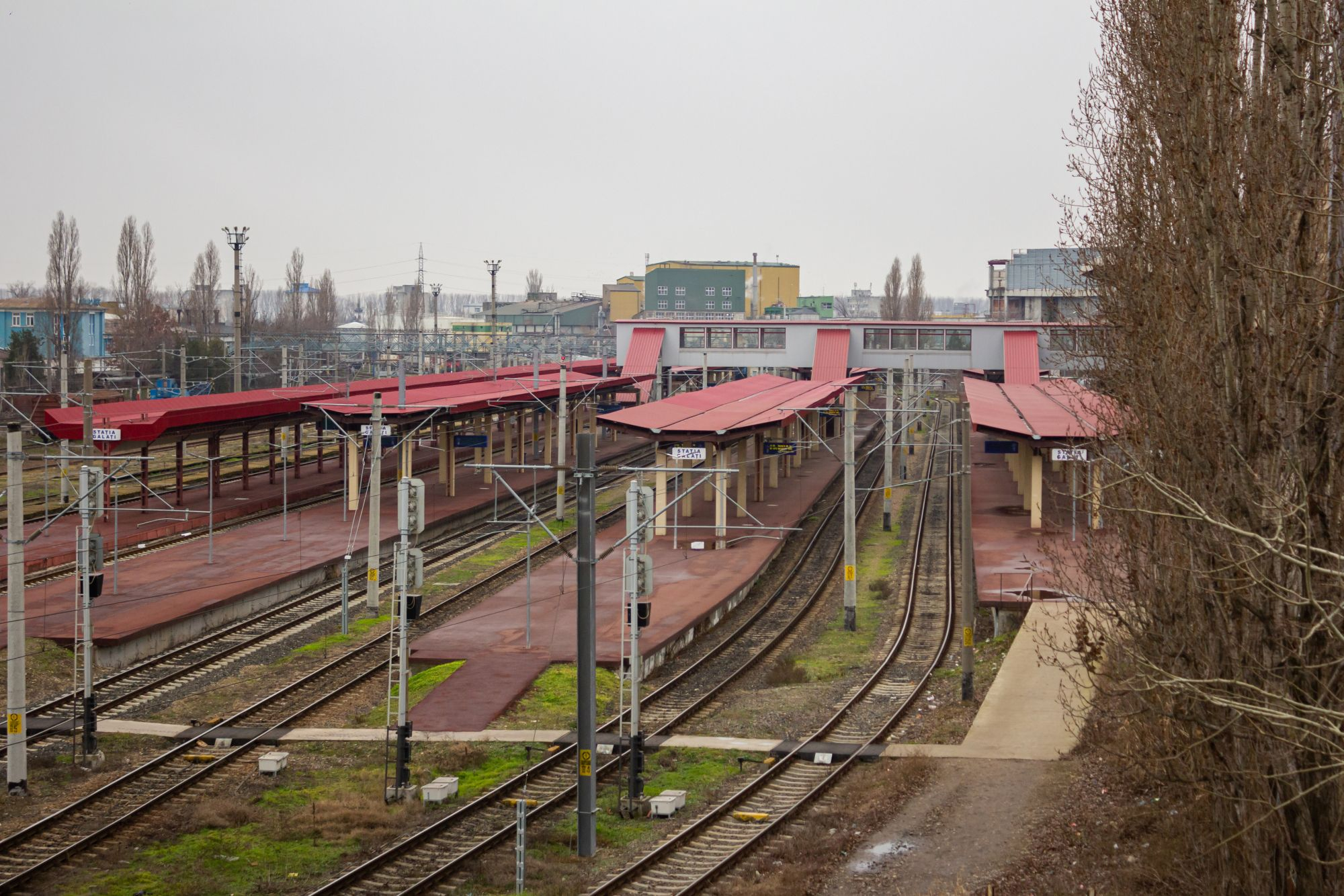 Regionala CFR Galați vrea să taie 393 de „copaci periculoși”