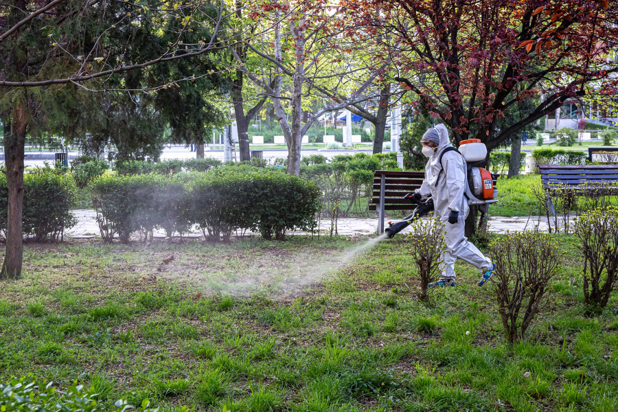 Săptămâna viitoare, încă o etapă de dezinsecție