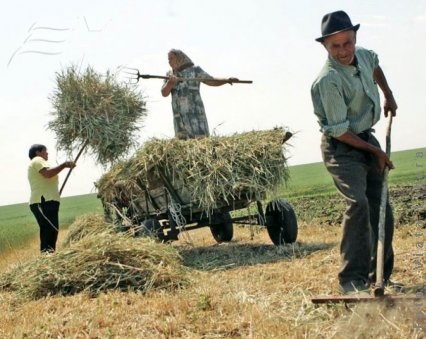 „Sindromul CAP” blochează formele asociative