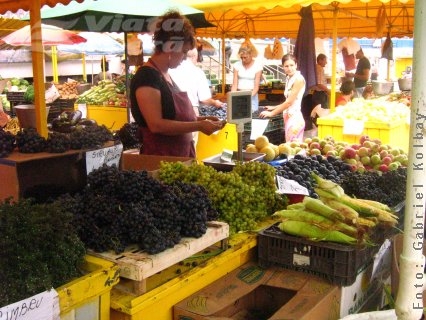 Am ajuns la strugurii deloc acri  