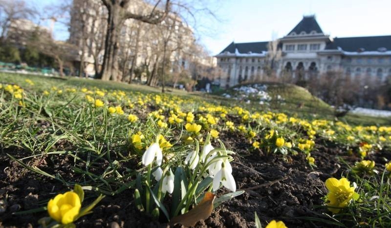 PROGNOZA METEO până pe 24 martie. Ce temperaturi vor fi şi cât va ploua în fiecare regiune